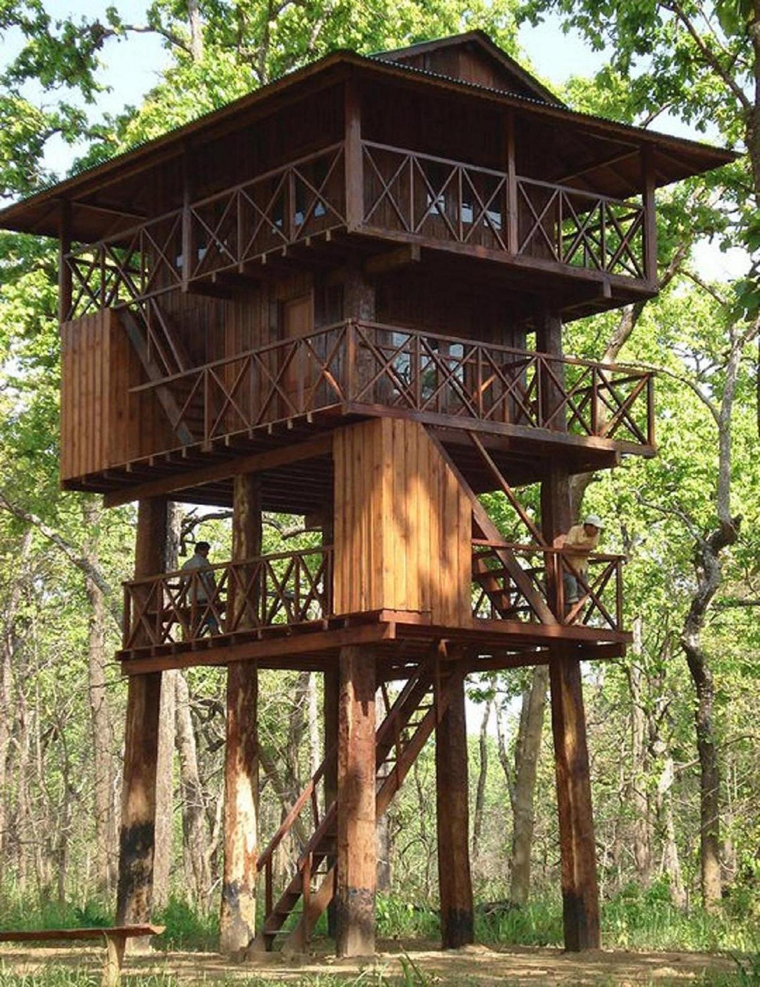 Hotel Rainforest Sauraha Ngoại thất bức ảnh
