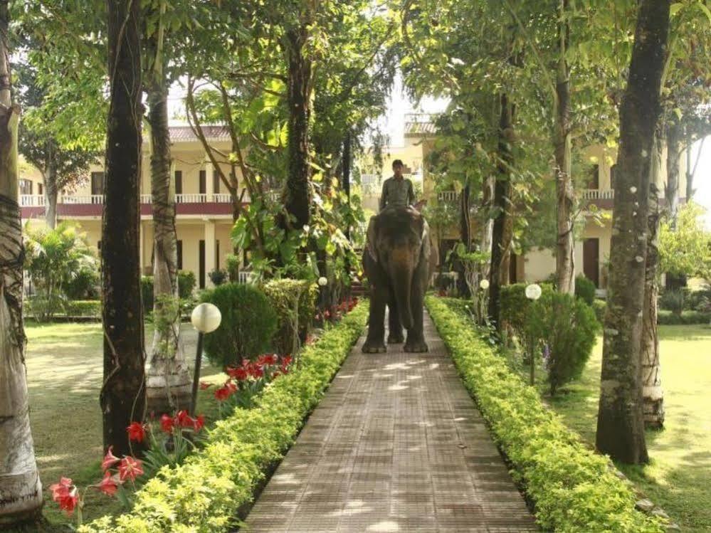 Hotel Rainforest Sauraha Ngoại thất bức ảnh
