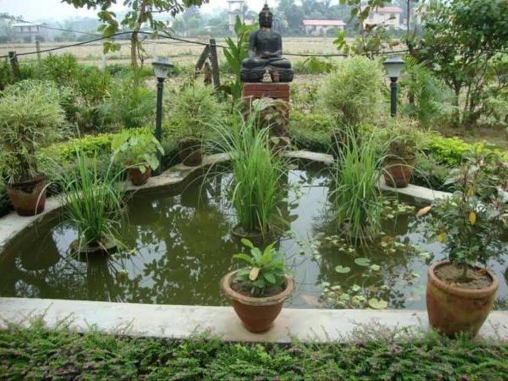 Hotel Rainforest Sauraha Ngoại thất bức ảnh