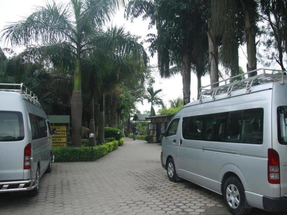 Hotel Rainforest Sauraha Ngoại thất bức ảnh