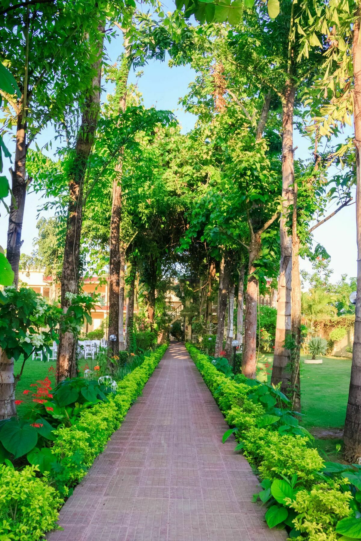 Hotel Rainforest Sauraha Ngoại thất bức ảnh